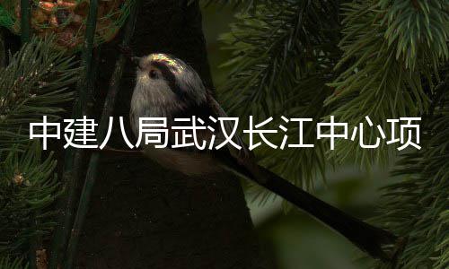 八局大会武汉项目中建中心千人誓师举行长江